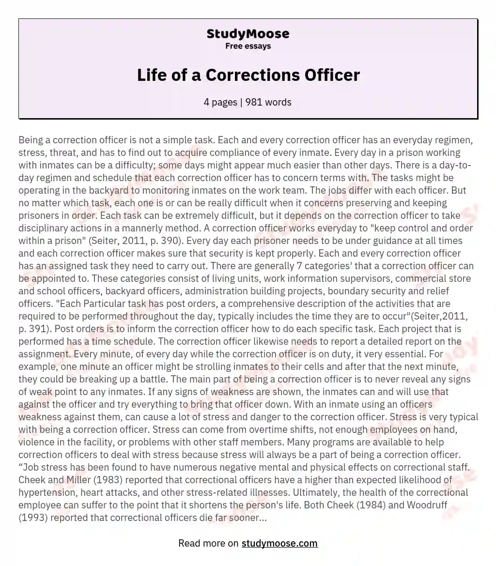 Life of a Corrections Officer essay