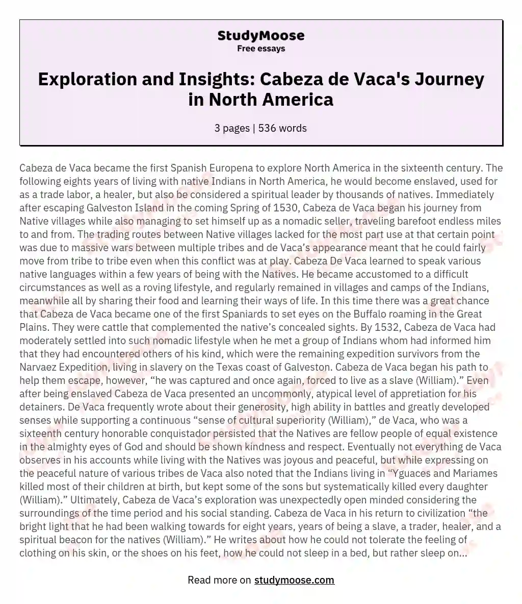 Exploration and Insights: Cabeza de Vaca's Journey in North America essay