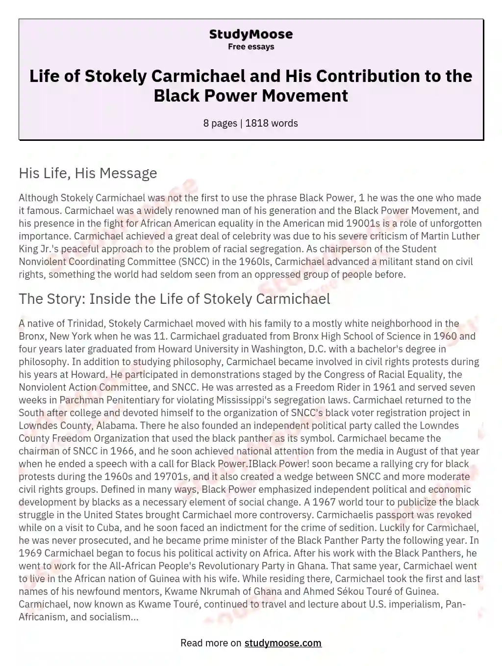 black power movement essay for grade 12