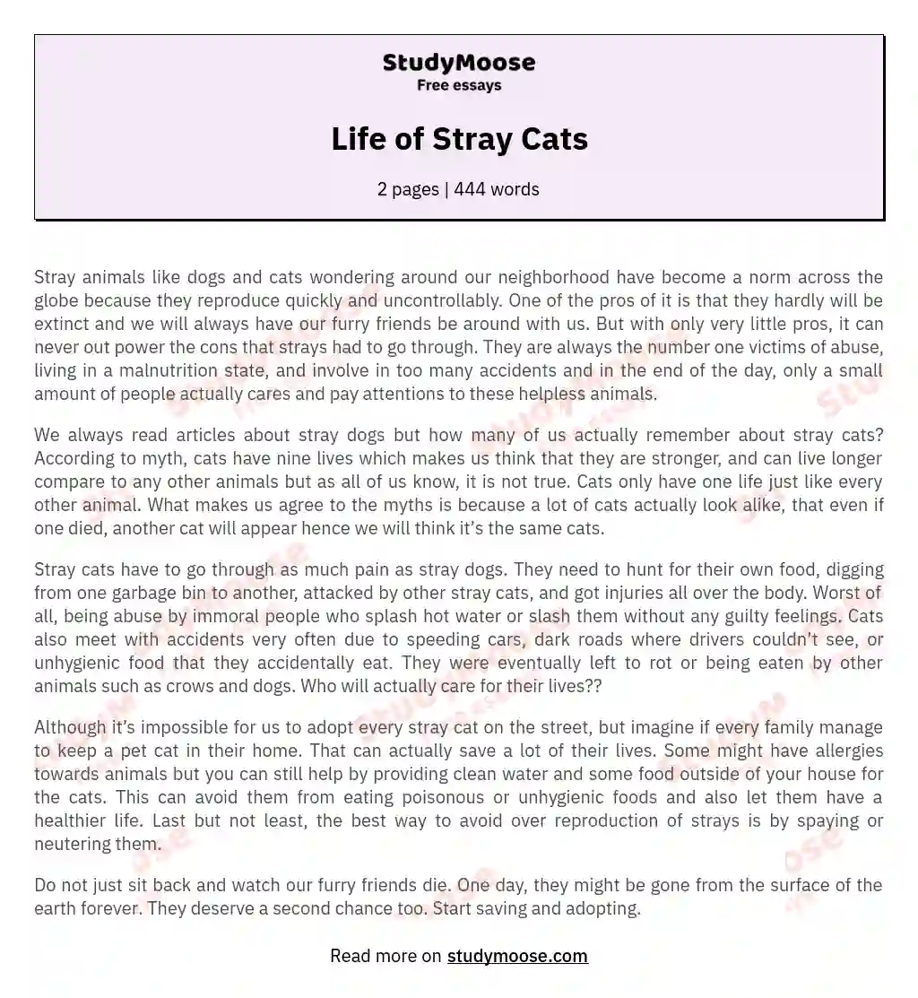 Life of Stray Cats Free Essay Example