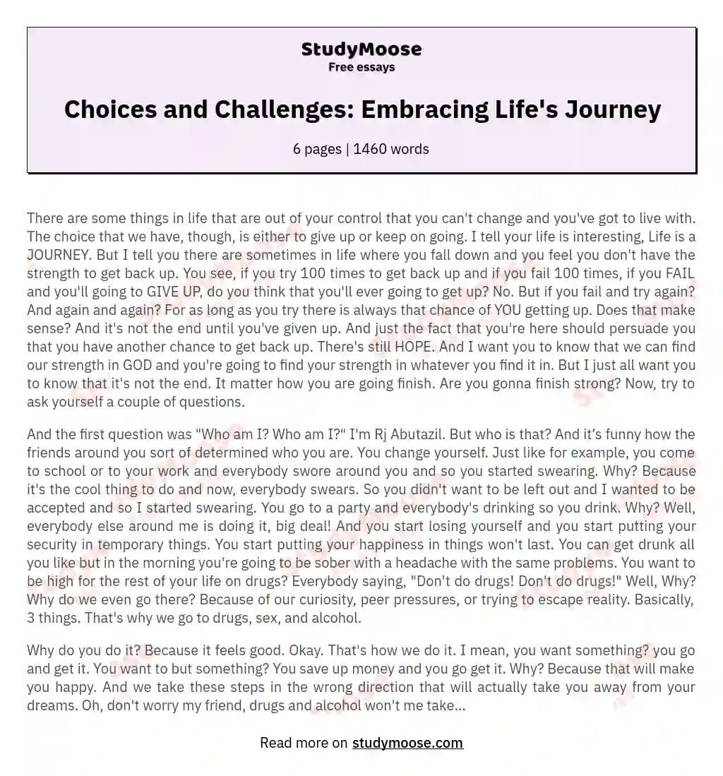 Choices and Challenges: Embracing Life's Journey essay