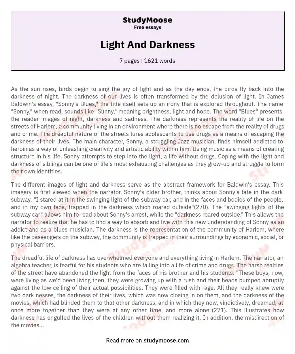 Light And Darkness essay