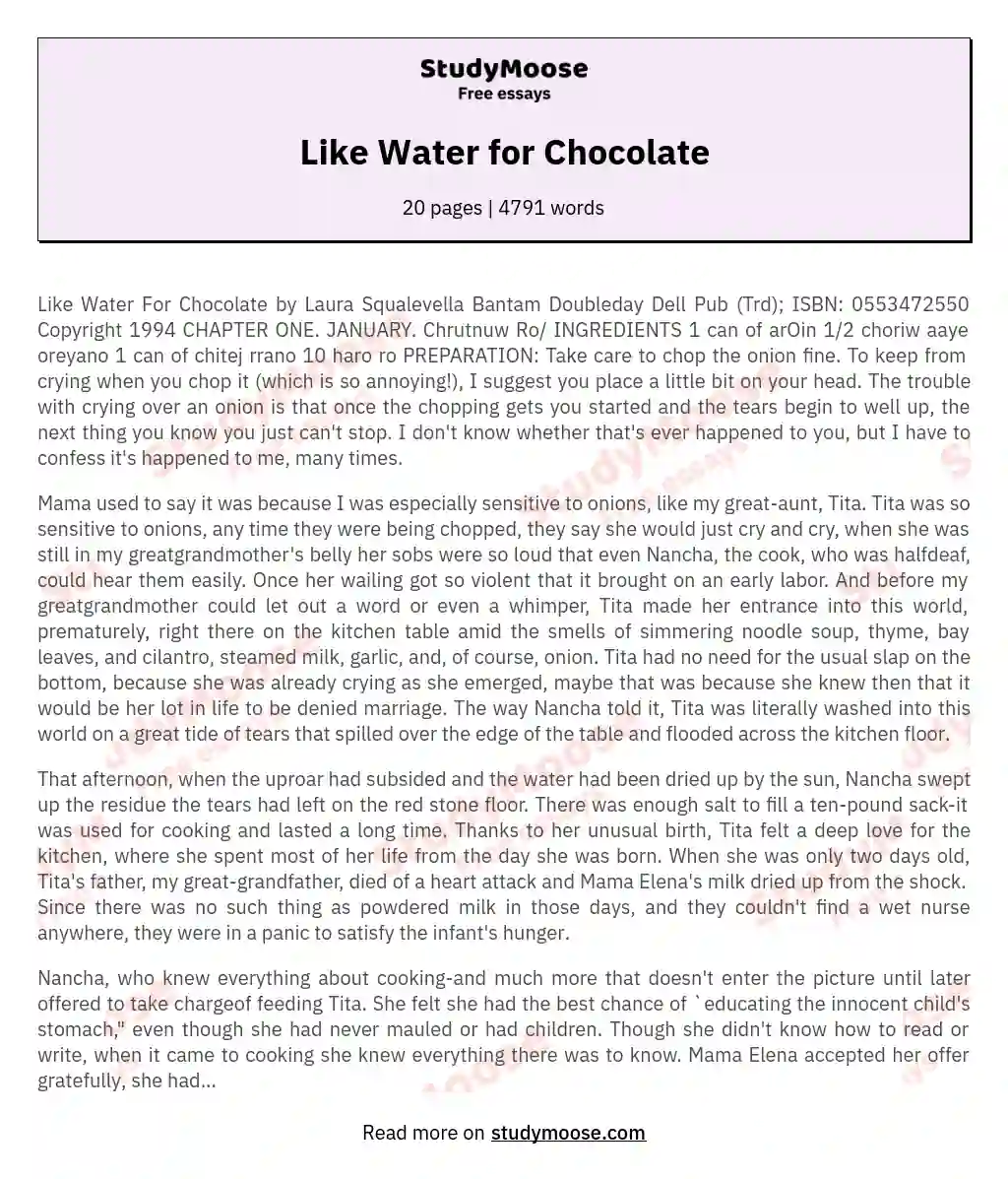Like Water for Chocolate essay