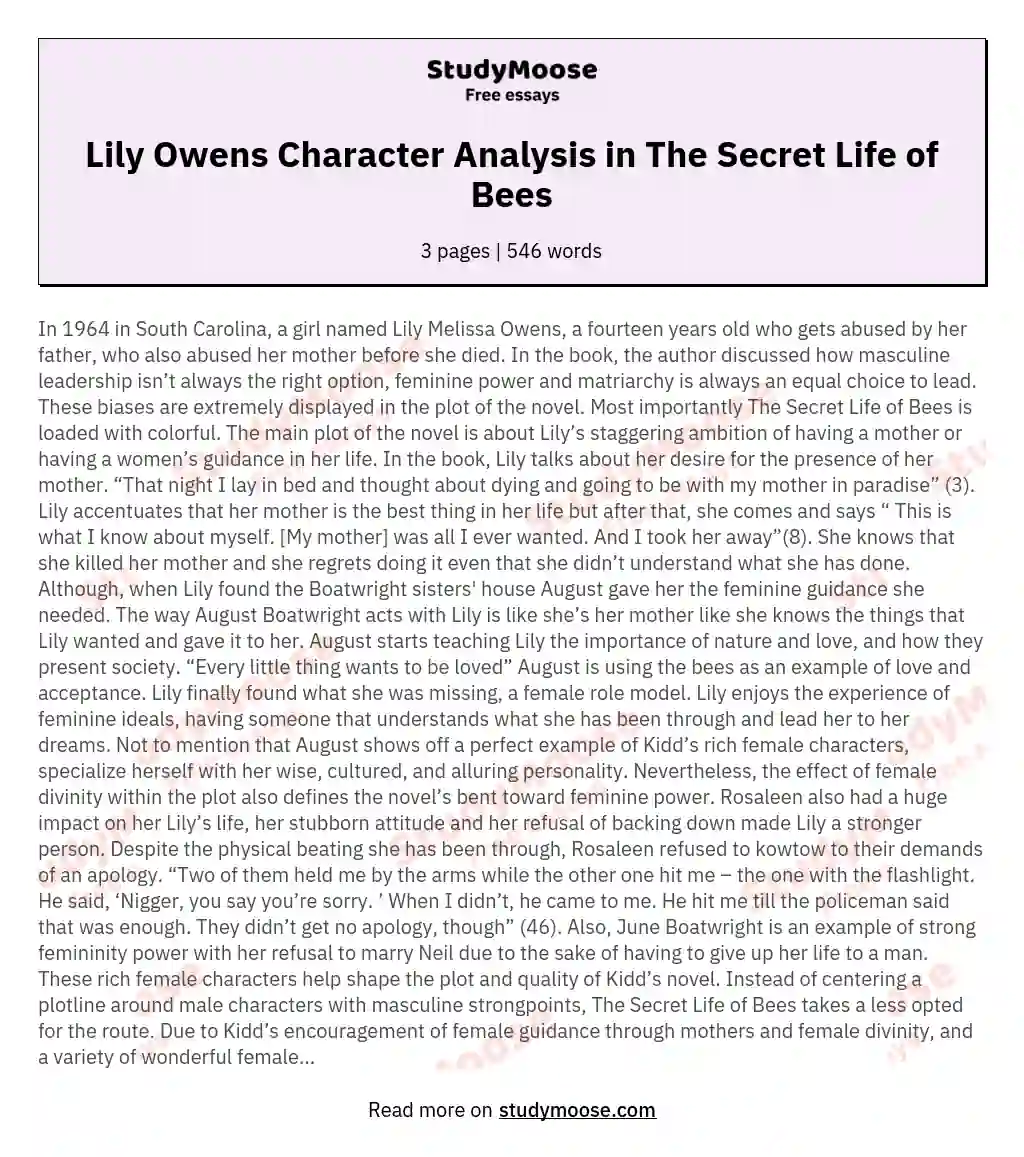 Lily Owens Character Analysis in The Secret Life of Bees