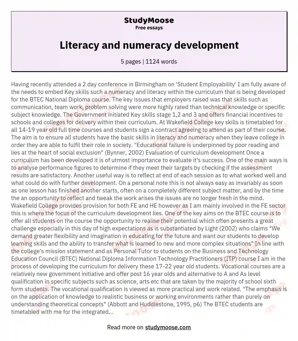 Literacy and numeracy development essay