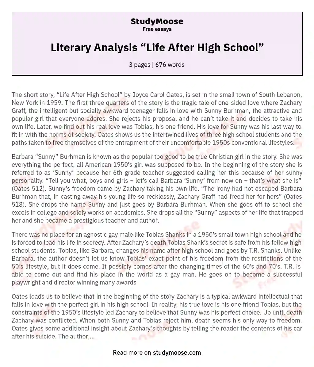 Literary Analysis “Life After High School” essay