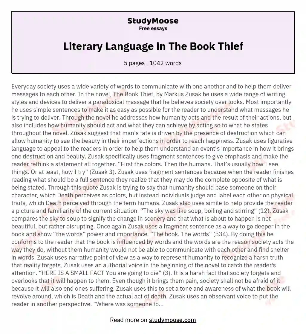 Literary Language in The Book Thief essay
