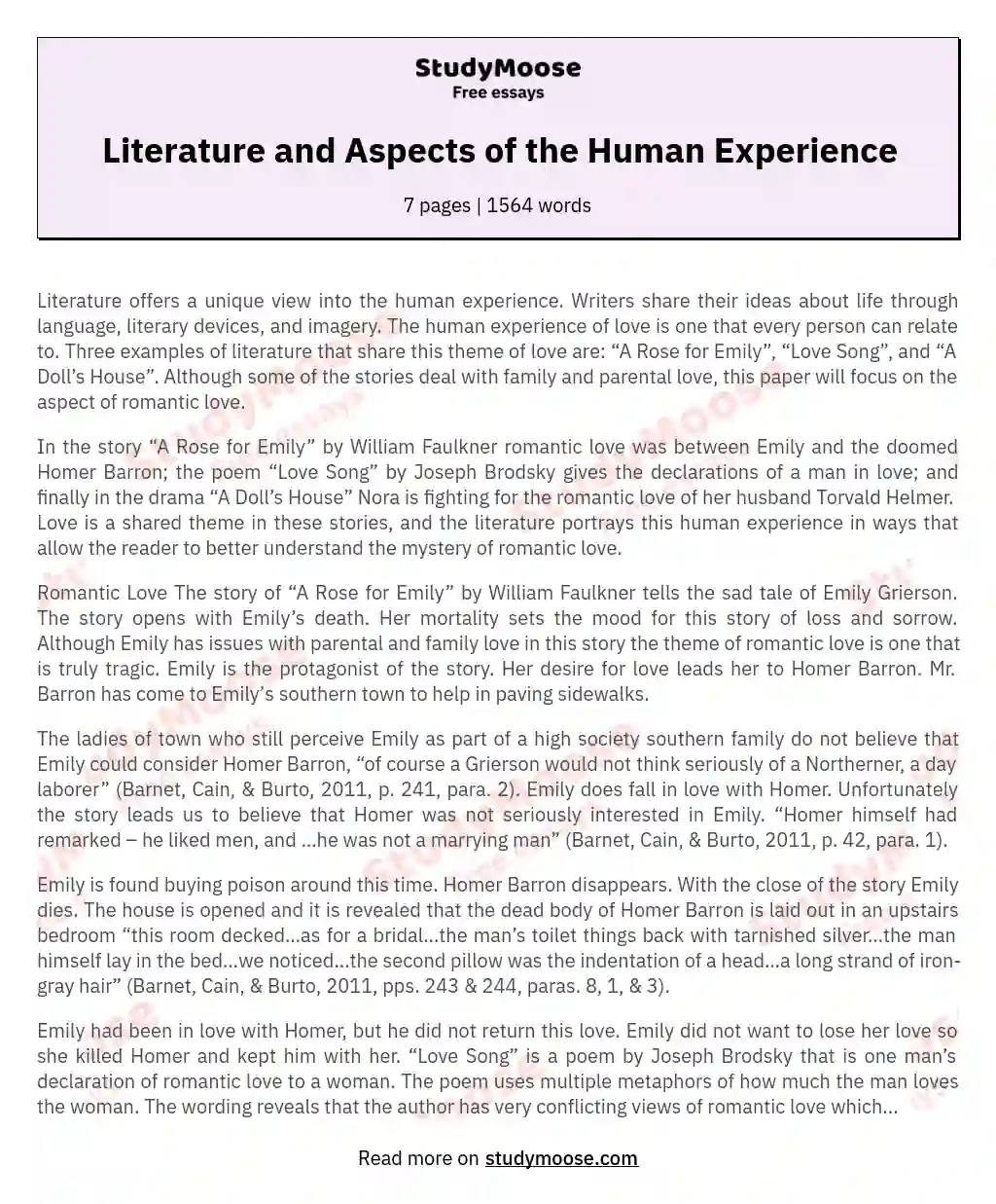 Literature and Aspects of the Human Experience essay