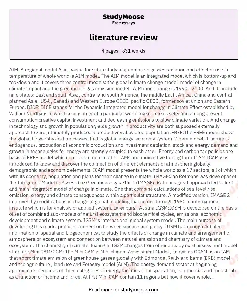 literature review essay