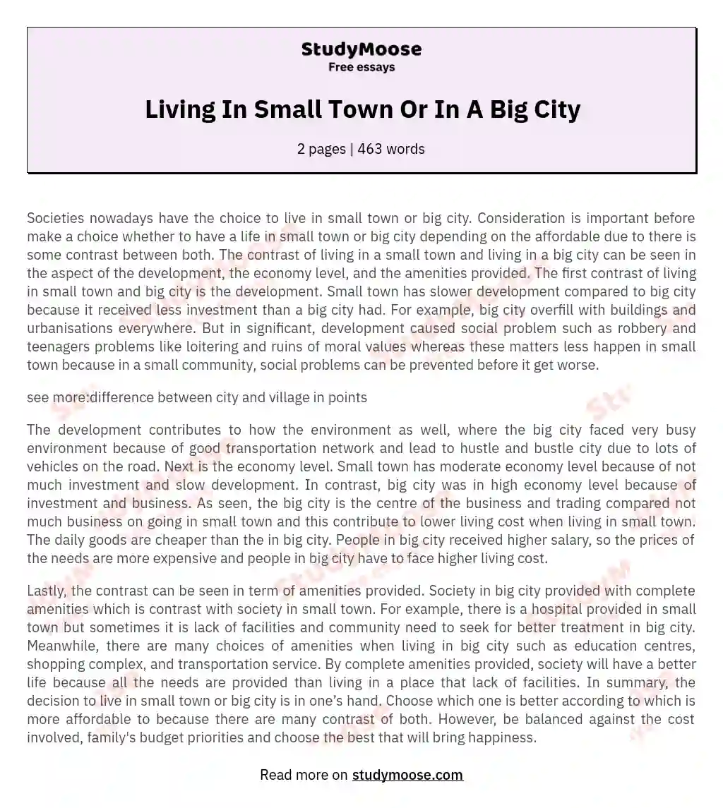 Living In Small Town Or In A Big City essay
