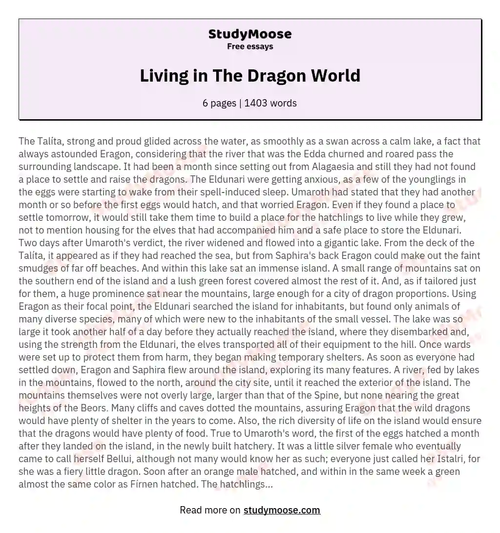 Living in The Dragon World essay