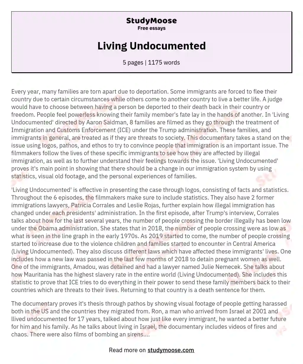 Living Undocumented essay