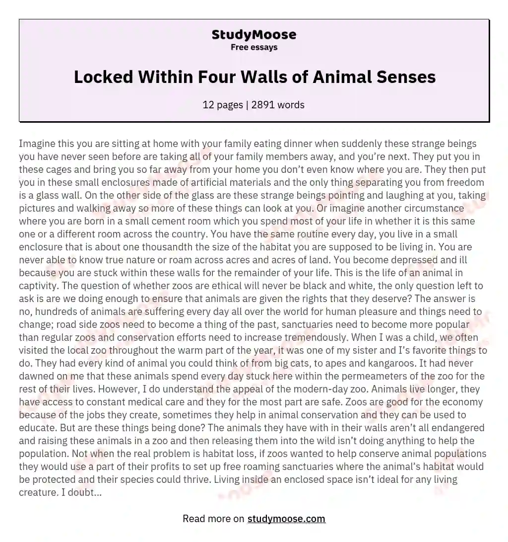 Locked Within Four Walls of Animal Senses essay