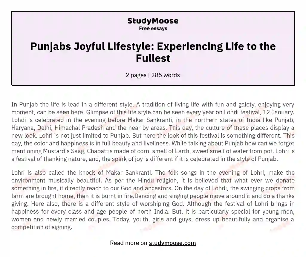 Punjabs Joyful Lifestyle: Experiencing Life to the Fullest essay