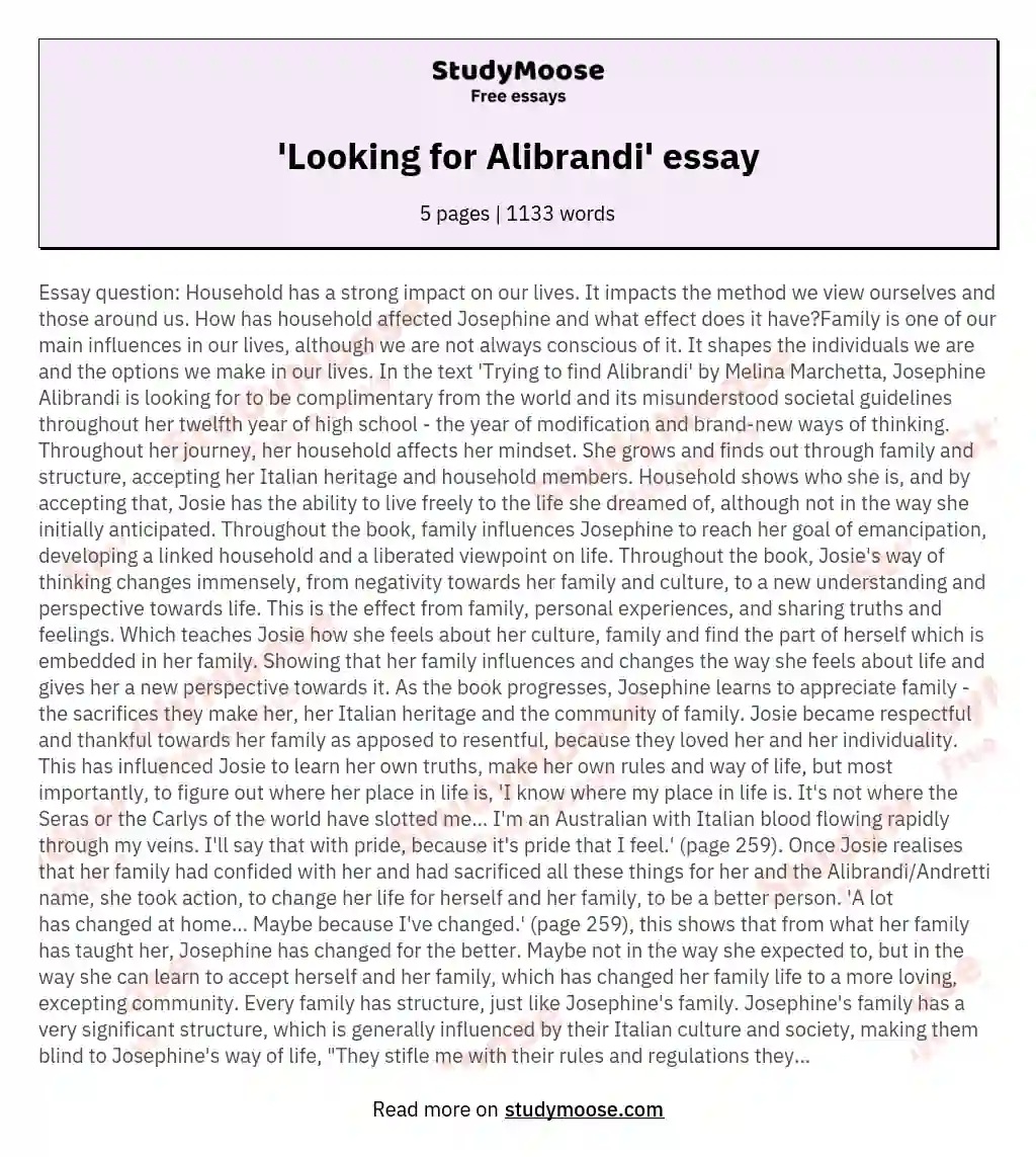 'Looking for Alibrandi' essay essay