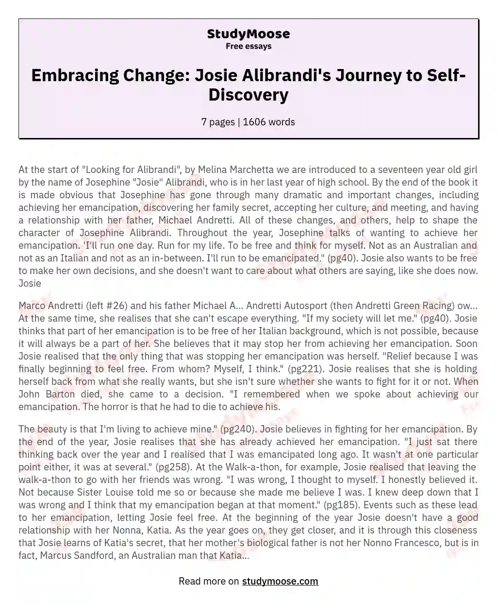 Embracing Change: Josie Alibrandi's Journey to Self-Discovery essay