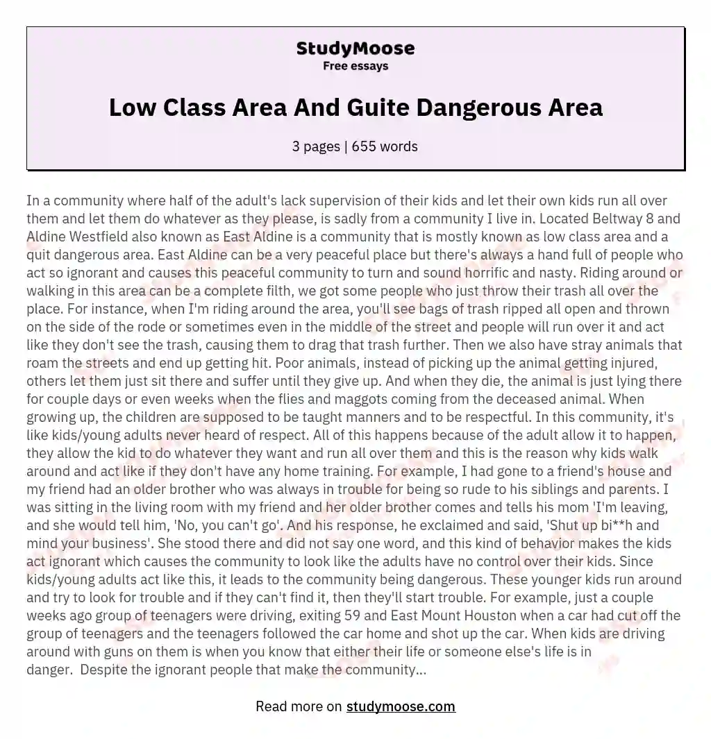 Low Class Area And Guite Dangerous Area essay