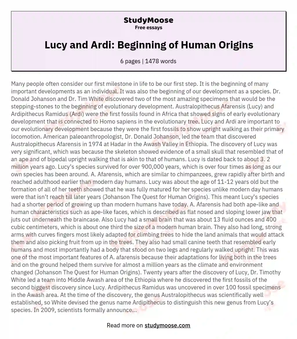 Lucy and Ardi: Beginning of Human Origins essay