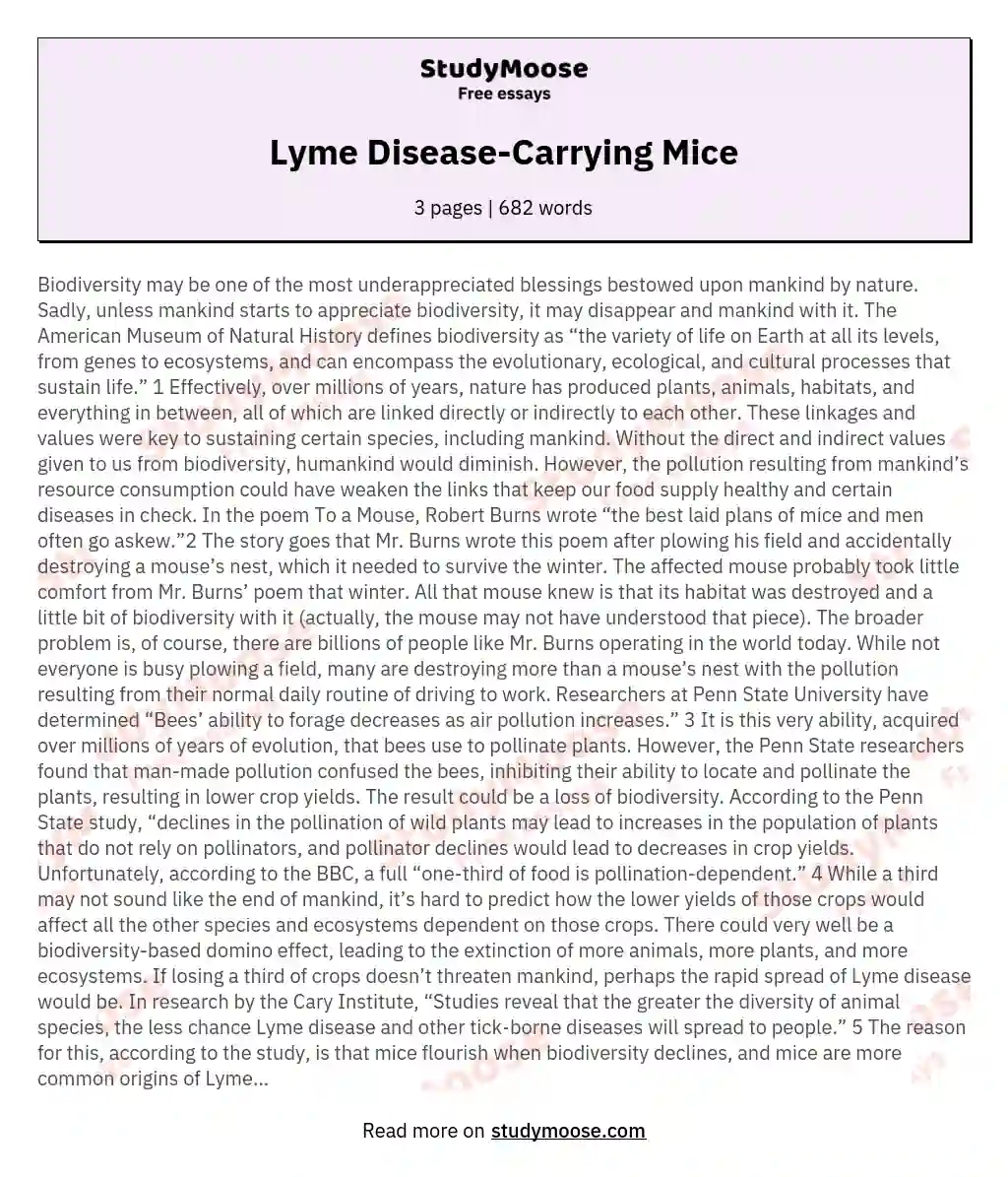 Lyme Disease-Carrying Mice essay