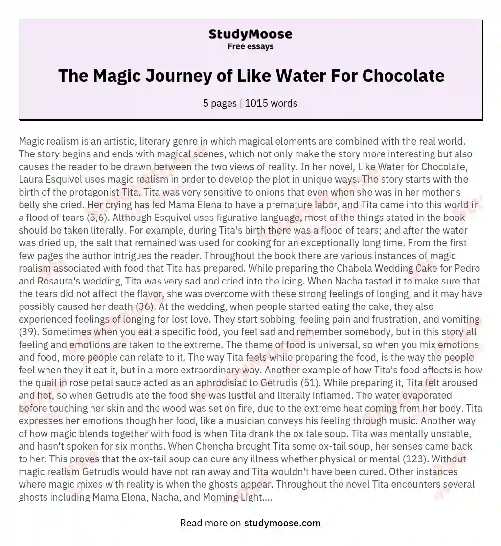 The Magic Journey of Like Water For Chocolate essay