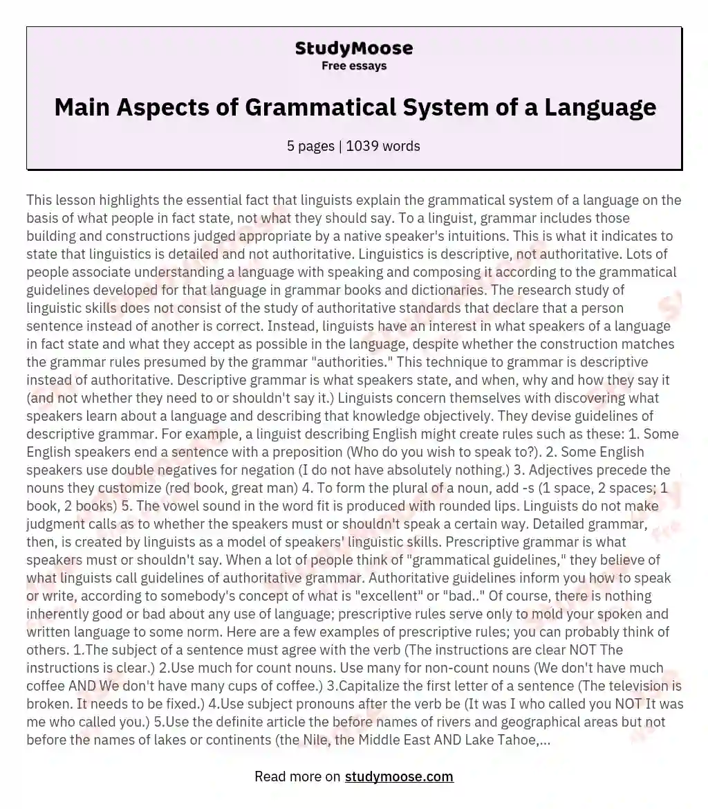 Main Aspects of Grammatical System of a Language essay