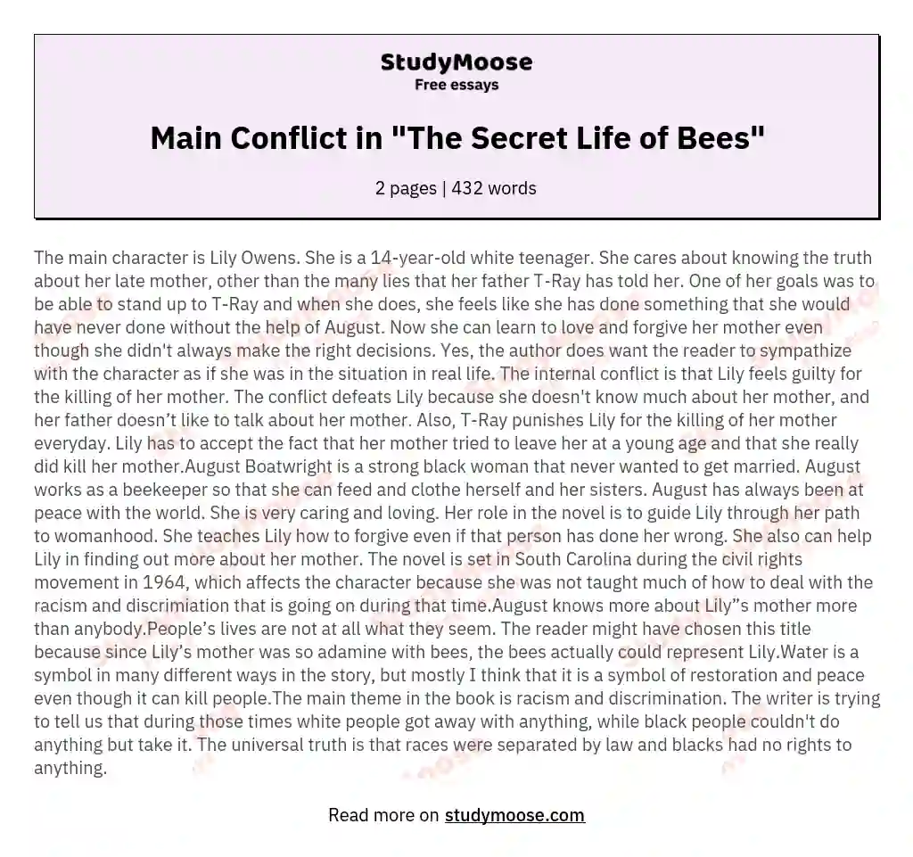 Main Conflict in "The Secret Life of Bees"