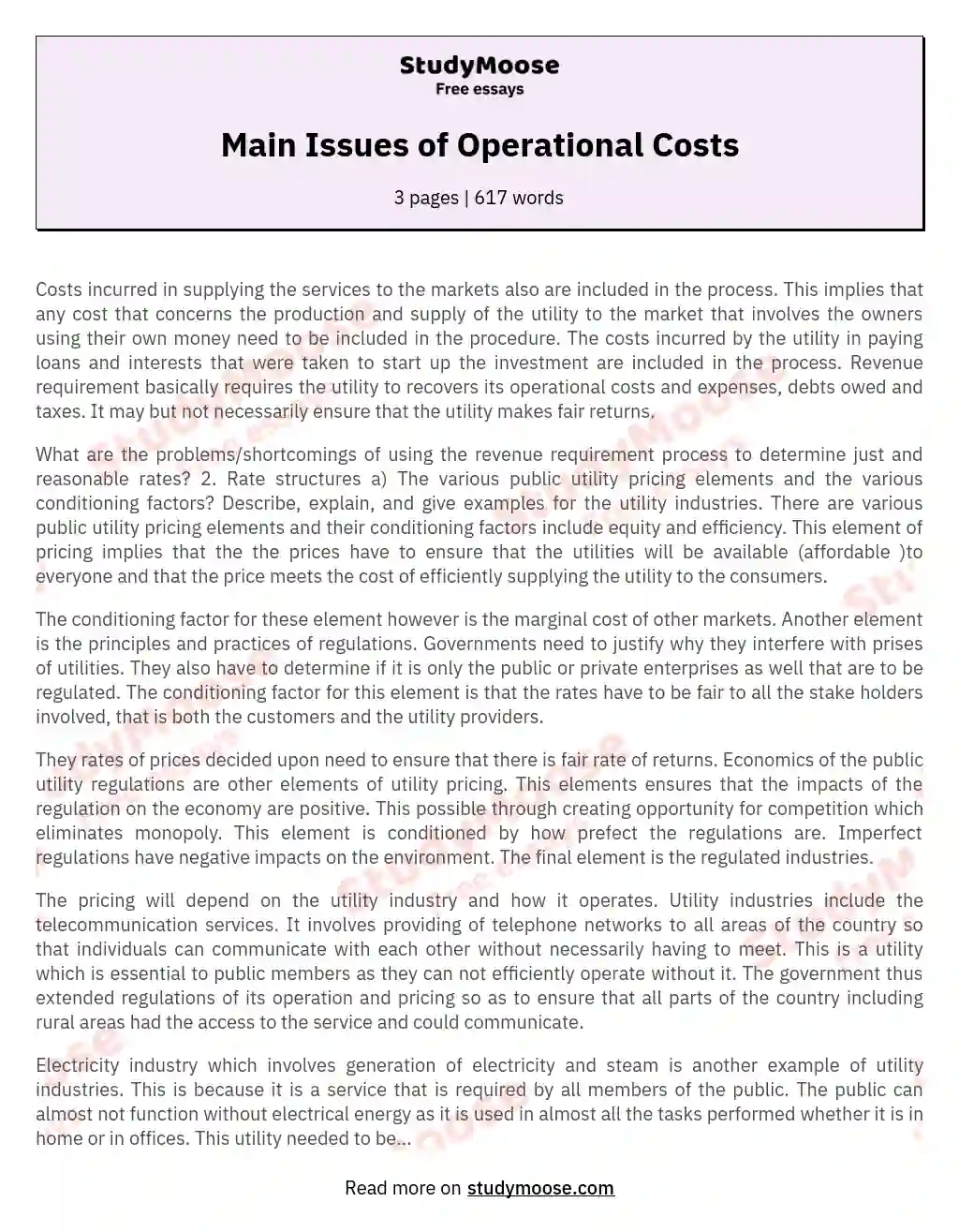 Main Issues of Operational Costs essay