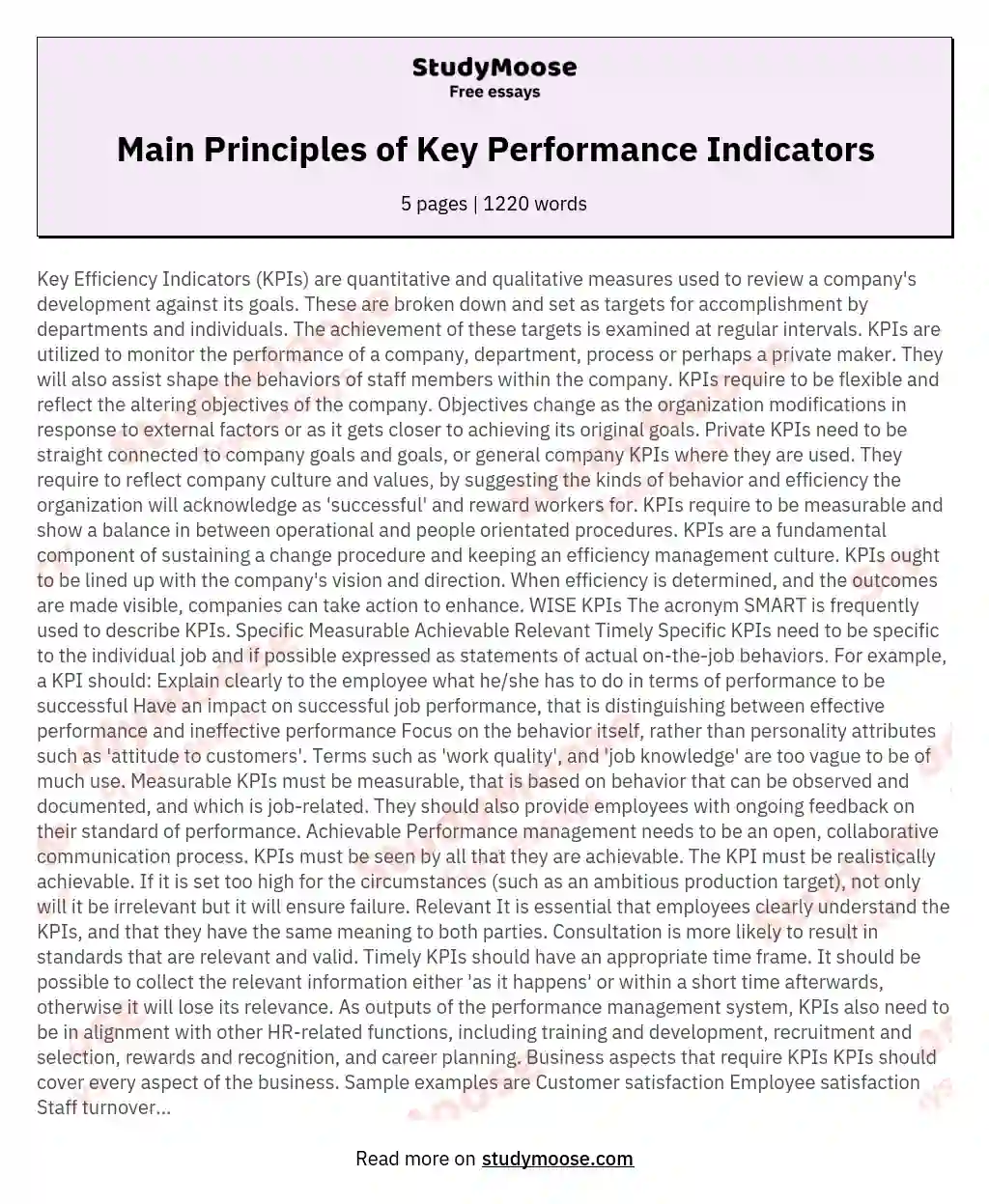 Main Principles of Key Performance Indicators essay