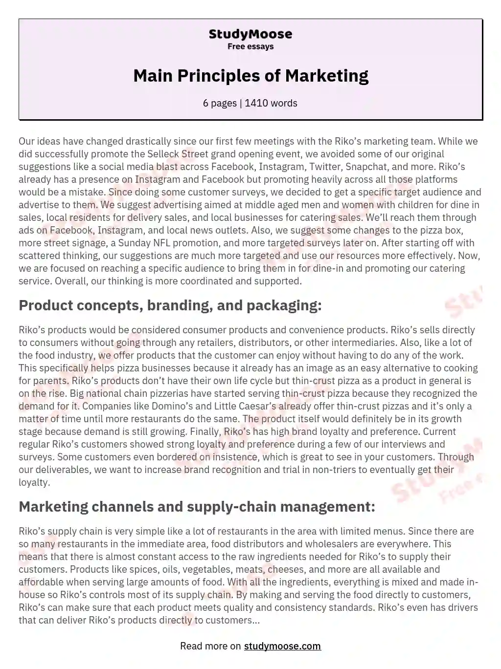 Main Principles of Marketing essay