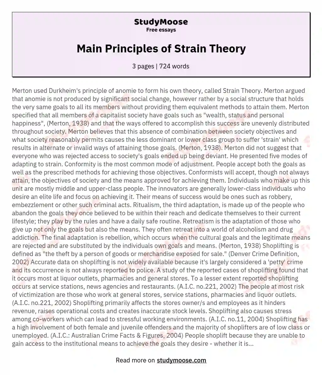 Main Principles of Strain Theory essay