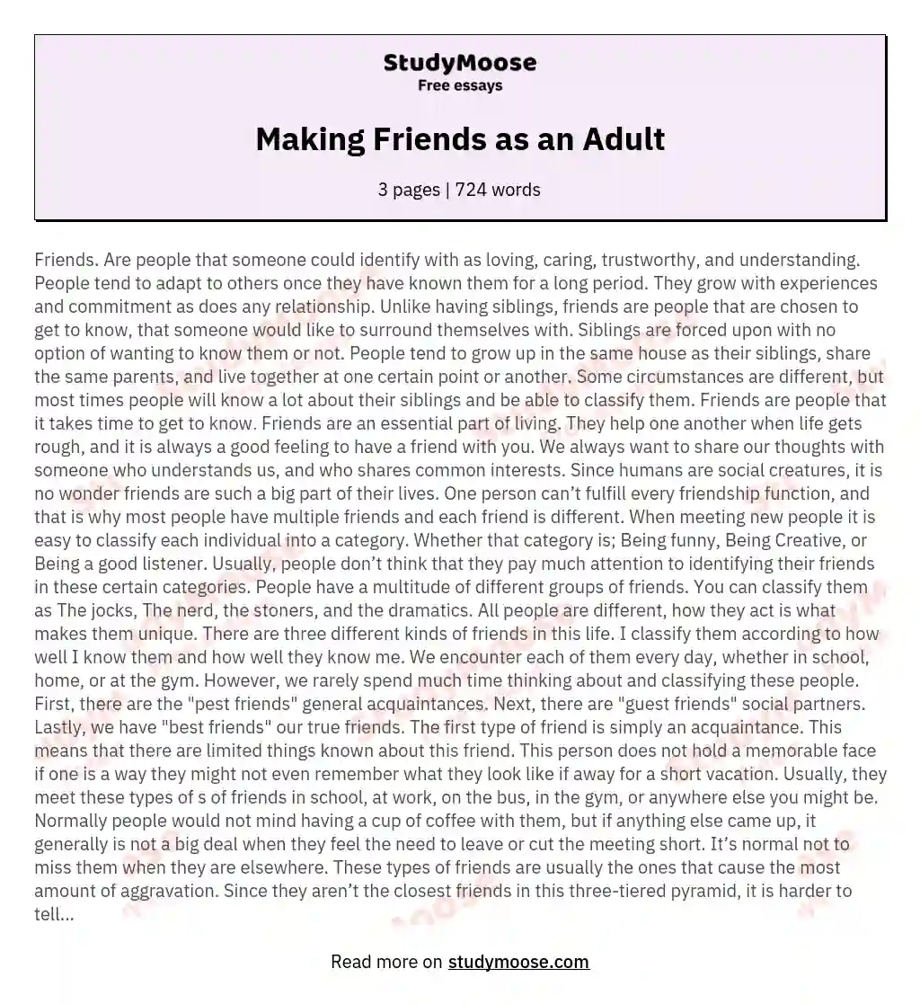 Making Friends as an Adult essay