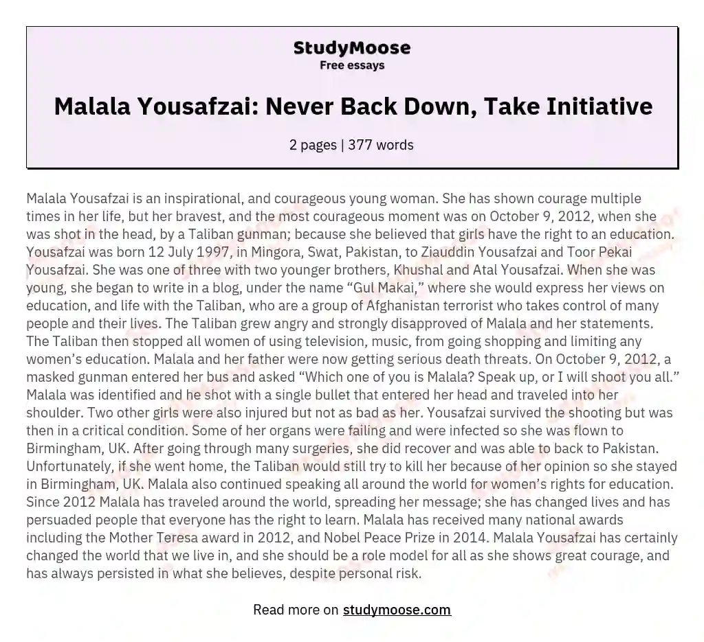 Malala Yousafzai: Never Back Down, Take Initiative essay