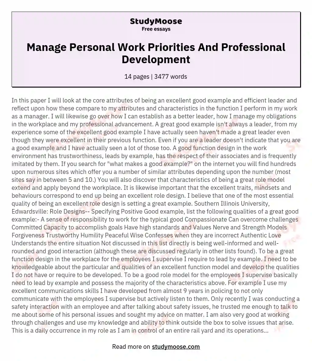Manage Personal Work Priorities And Professional Development essay