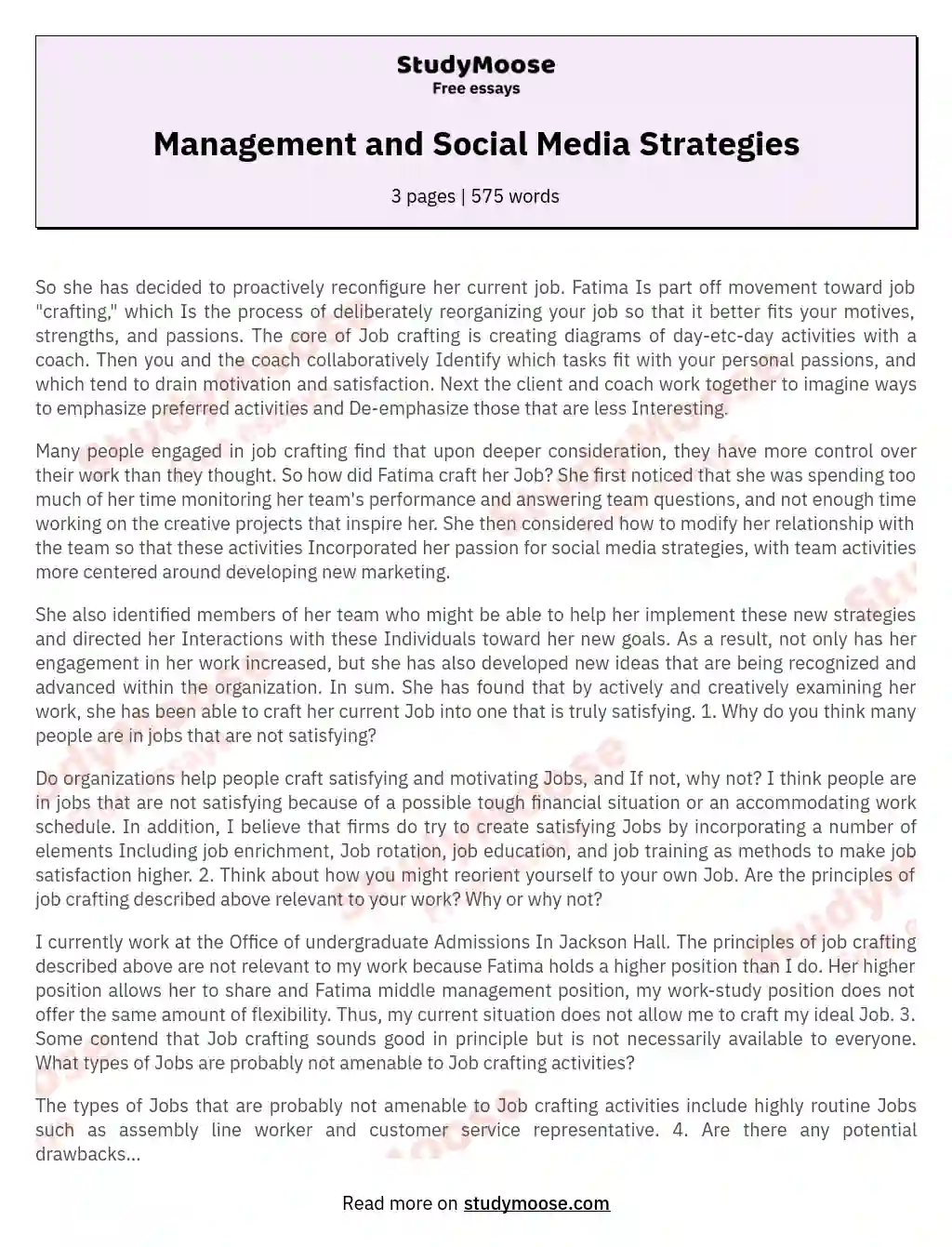Management and Social Media Strategies essay