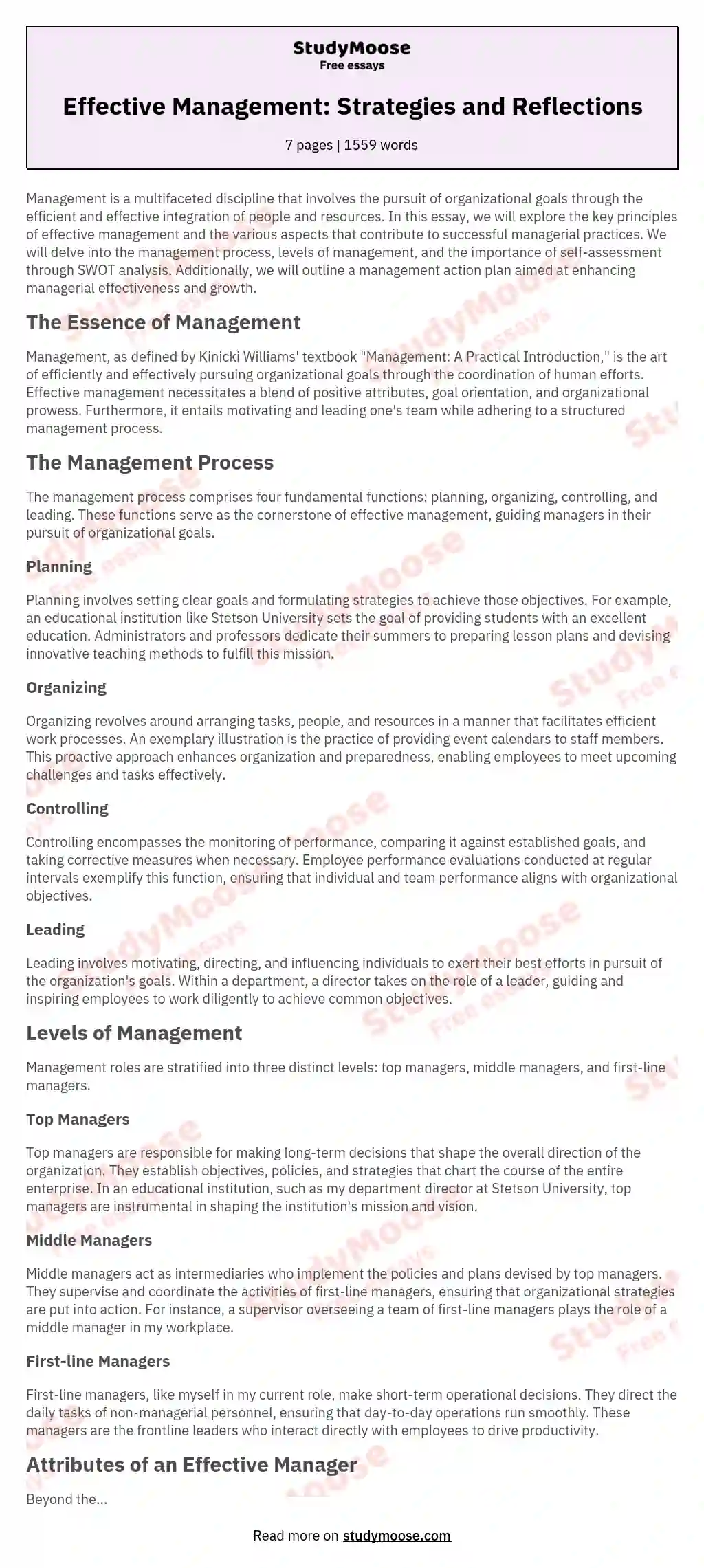 Effective Management: Strategies and Reflections essay