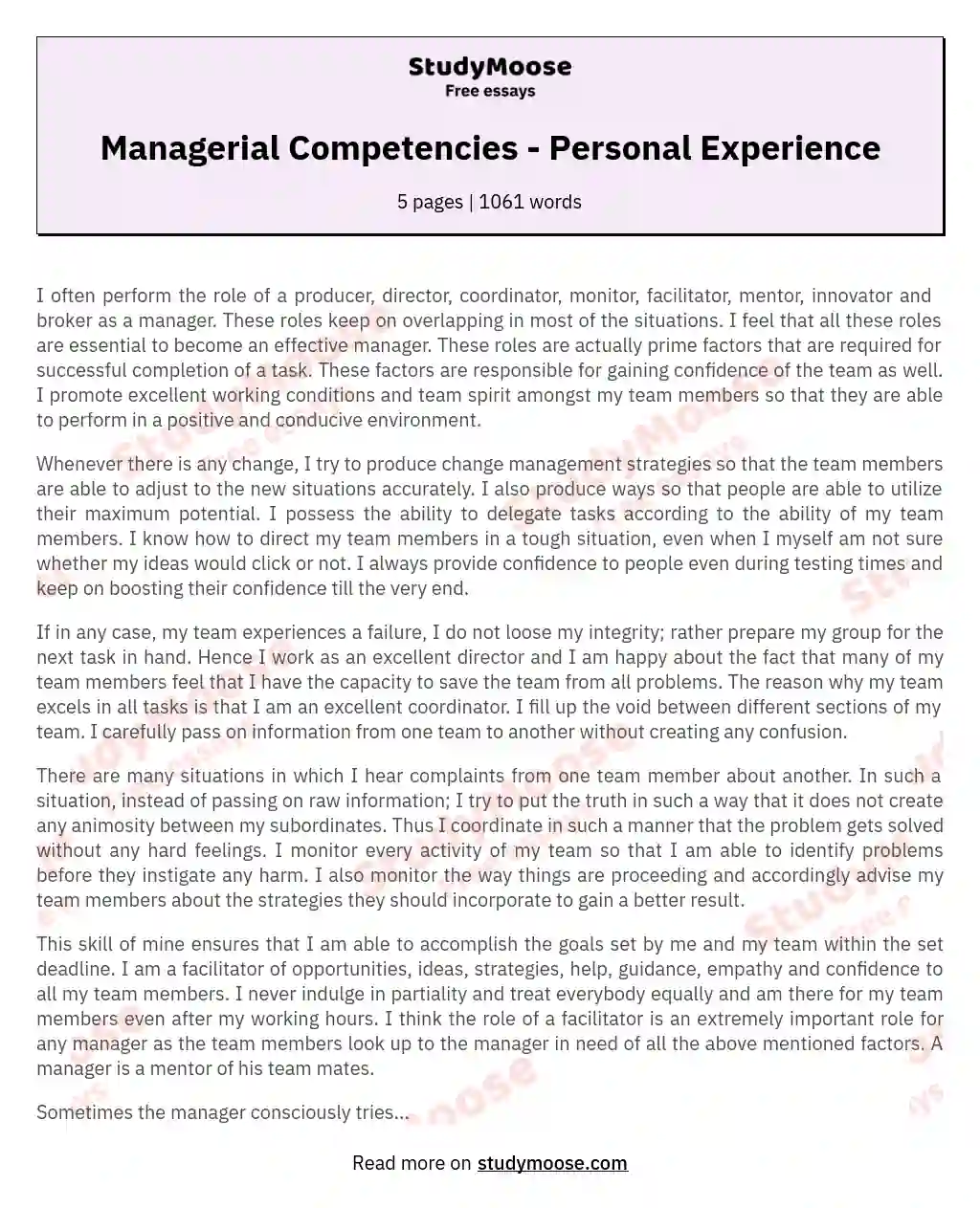 Managerial Competencies - Personal Experience essay