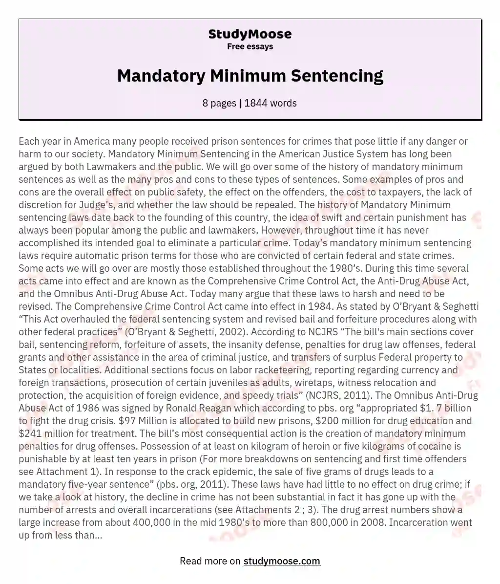 Mandatory Minimum Sentencing essay