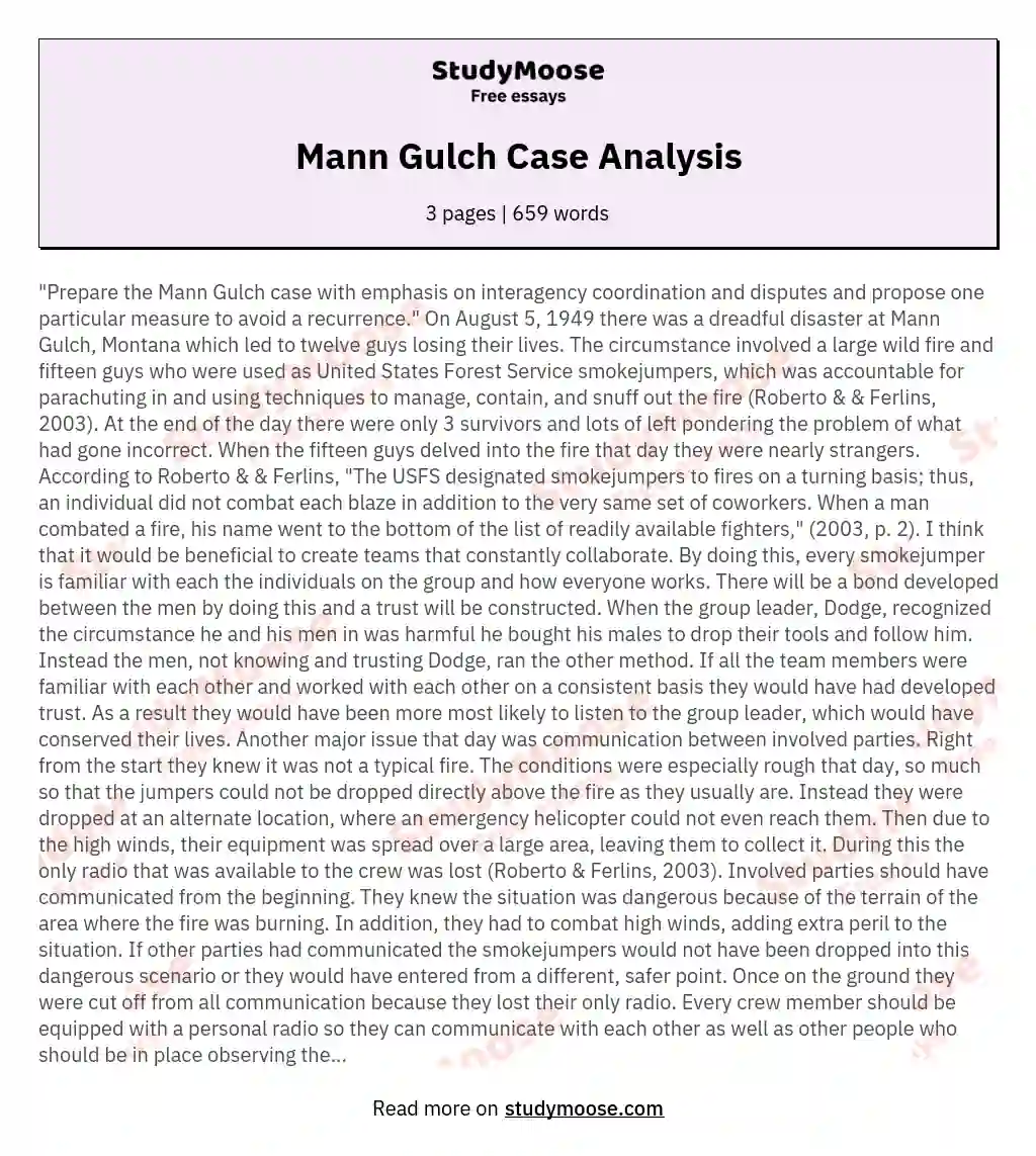 Mann Gulch Case Analysis essay