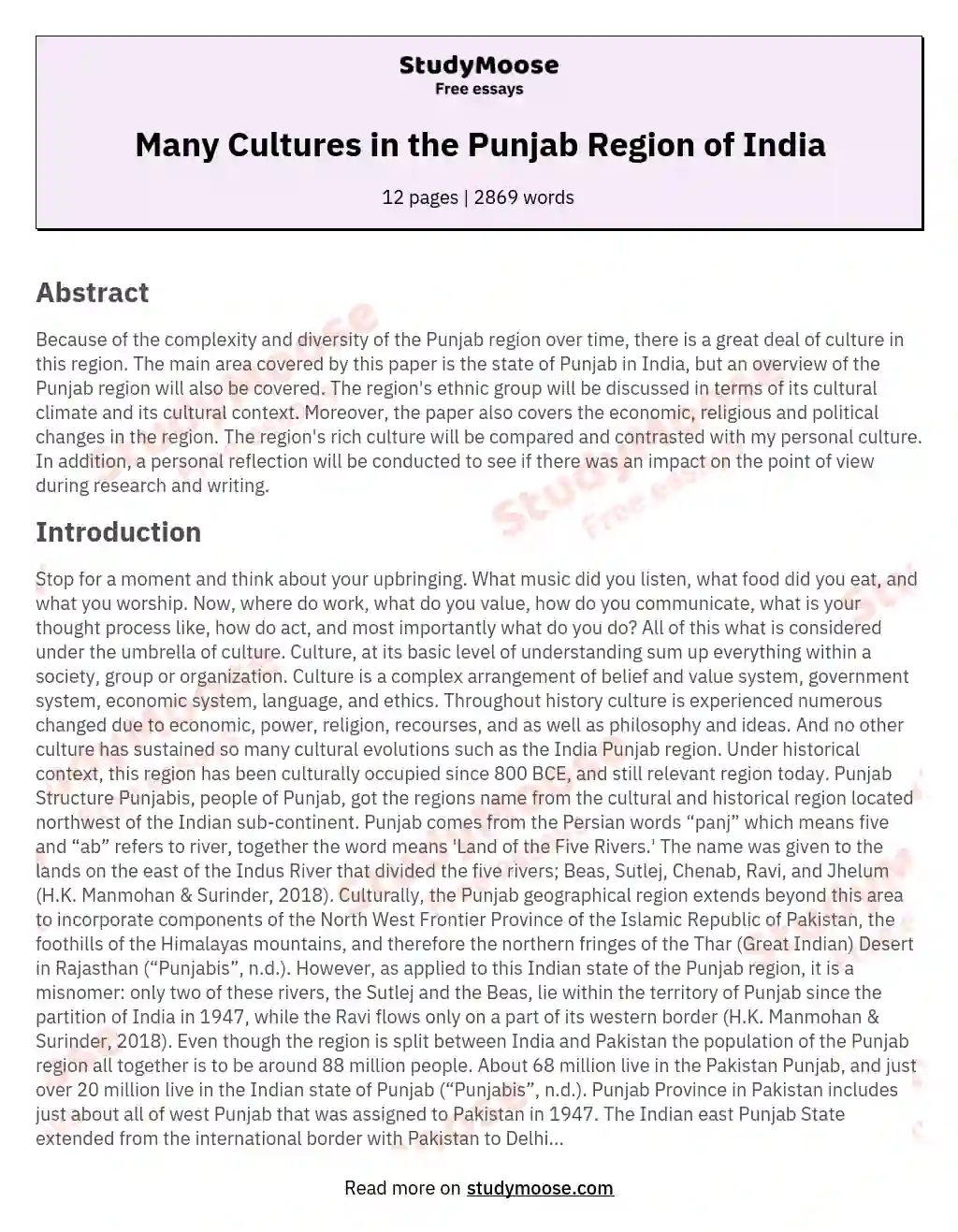 Many Cultures in the Punjab Region of India essay