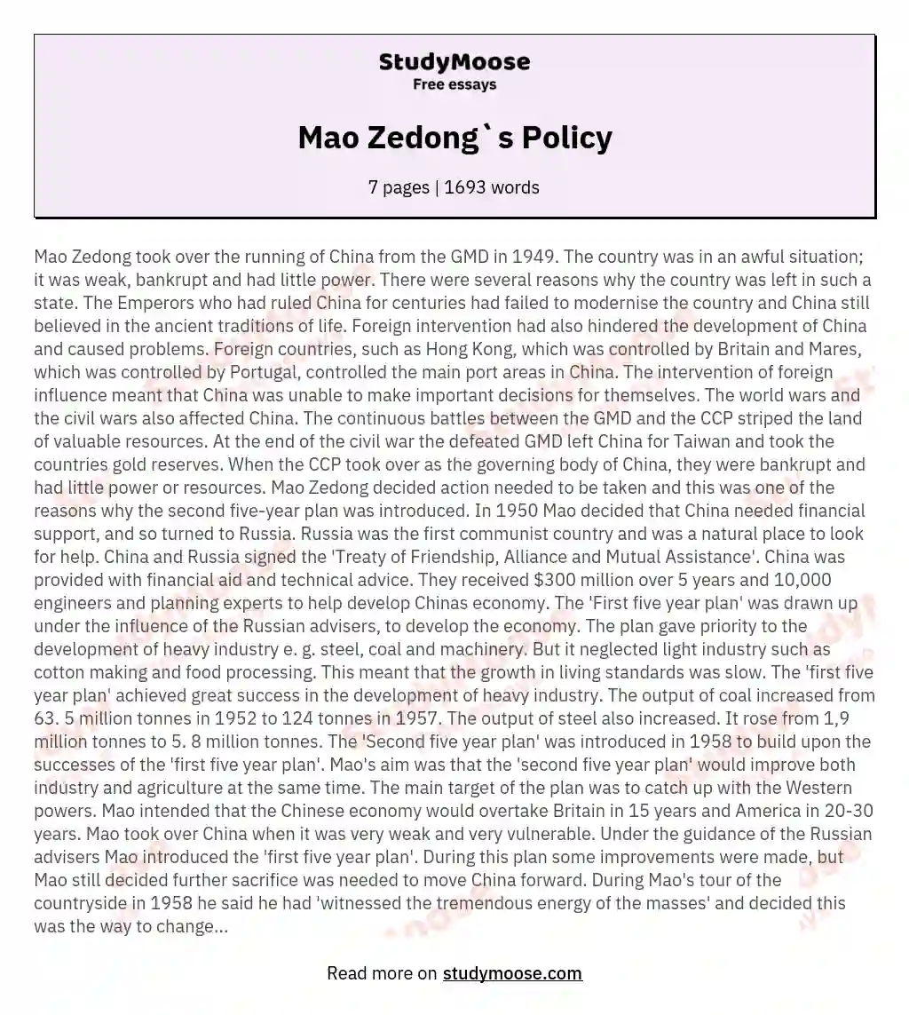 Mao Zedong`s Policy essay