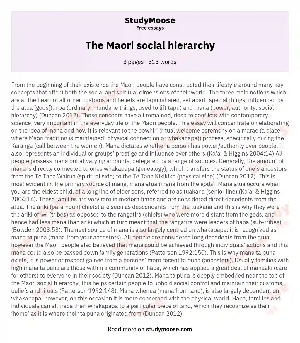 The Maori social hierarchy essay