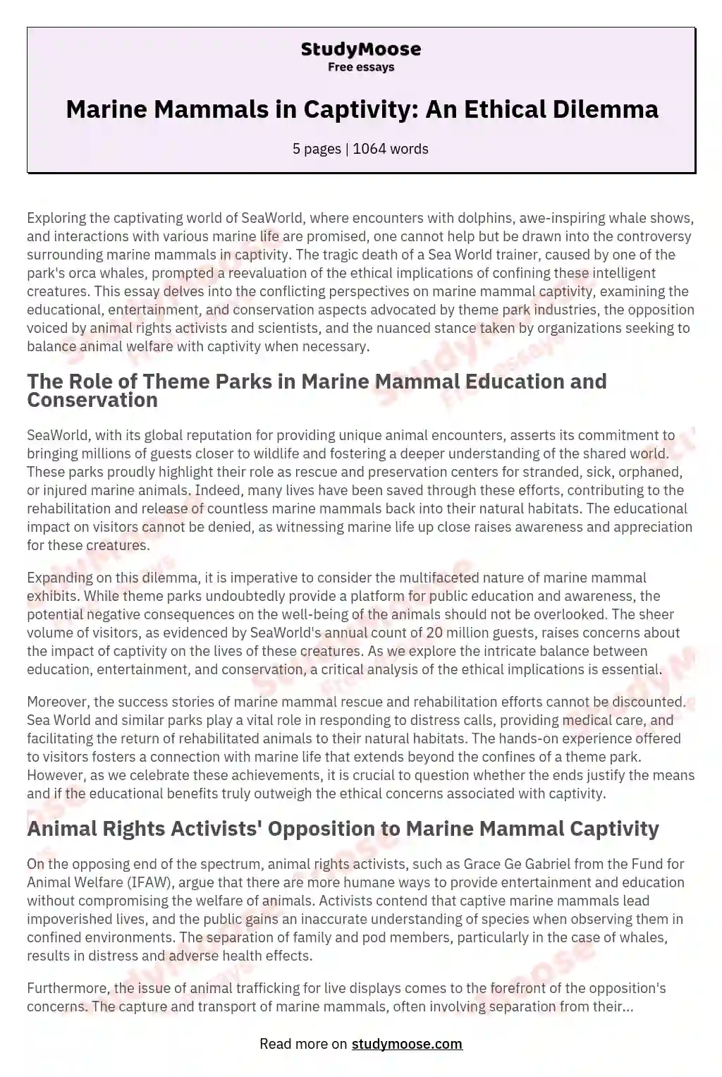 Marine Mammals in Captivity: An Ethical Dilemma essay