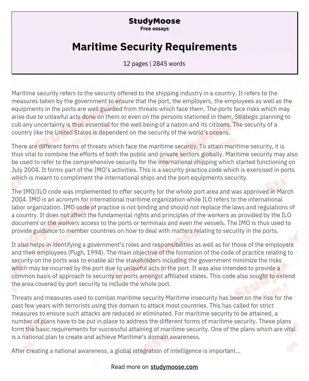Maritime Security Requirements essay