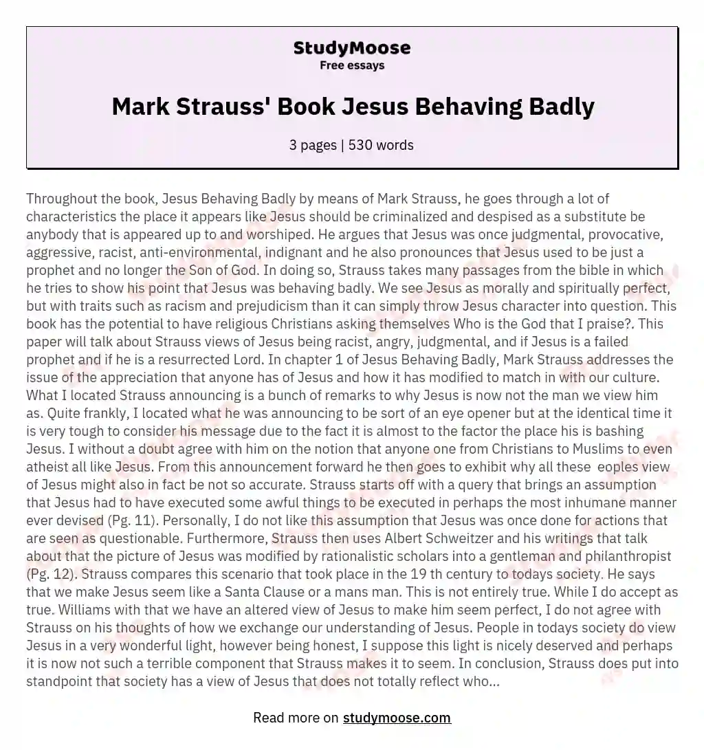 Mark Strauss' Book Jesus Behaving Badly essay