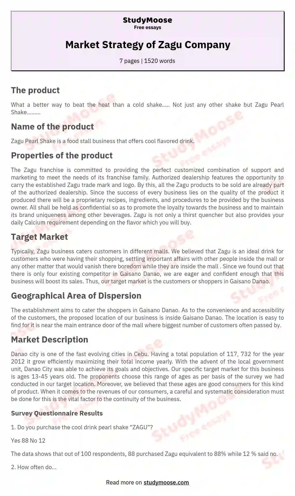 Market Strategy of Zagu Company essay