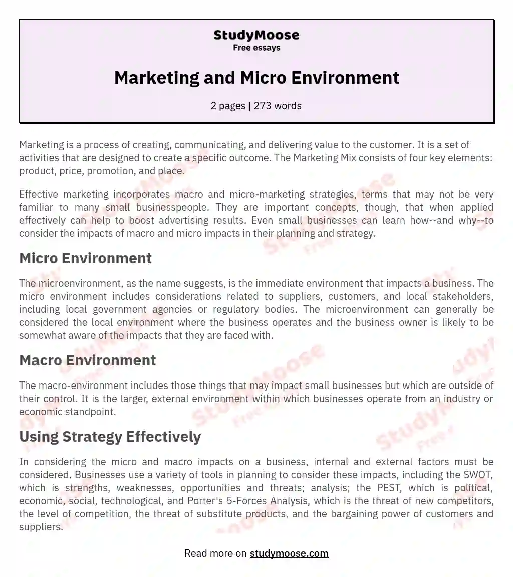 Marketing and Micro Environment essay