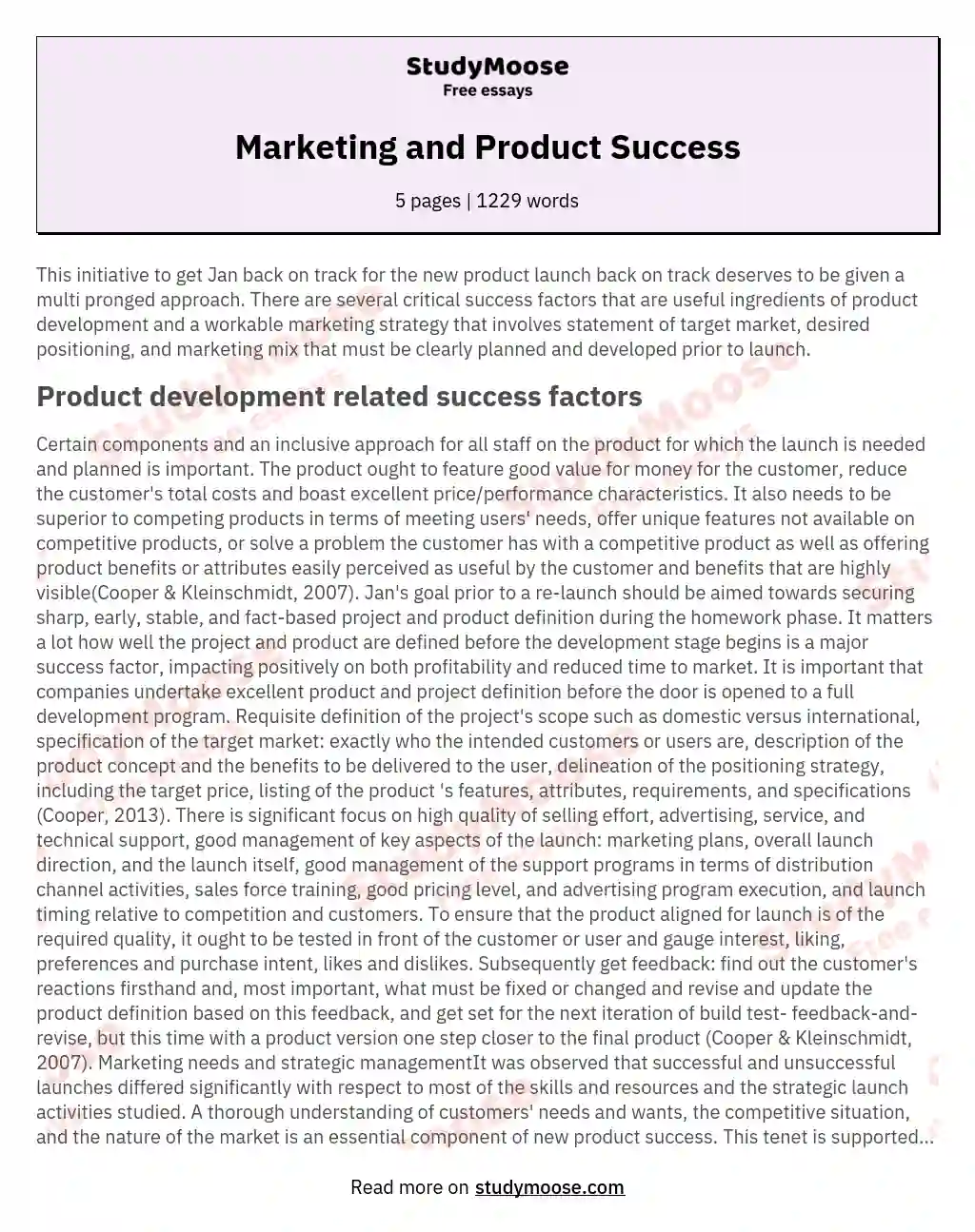 Marketing and Product Success essay