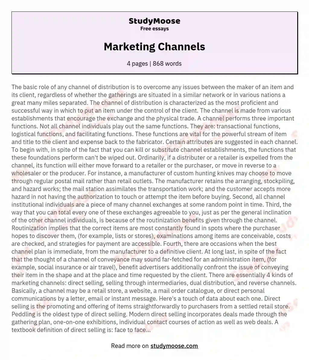 Marketing Channels essay