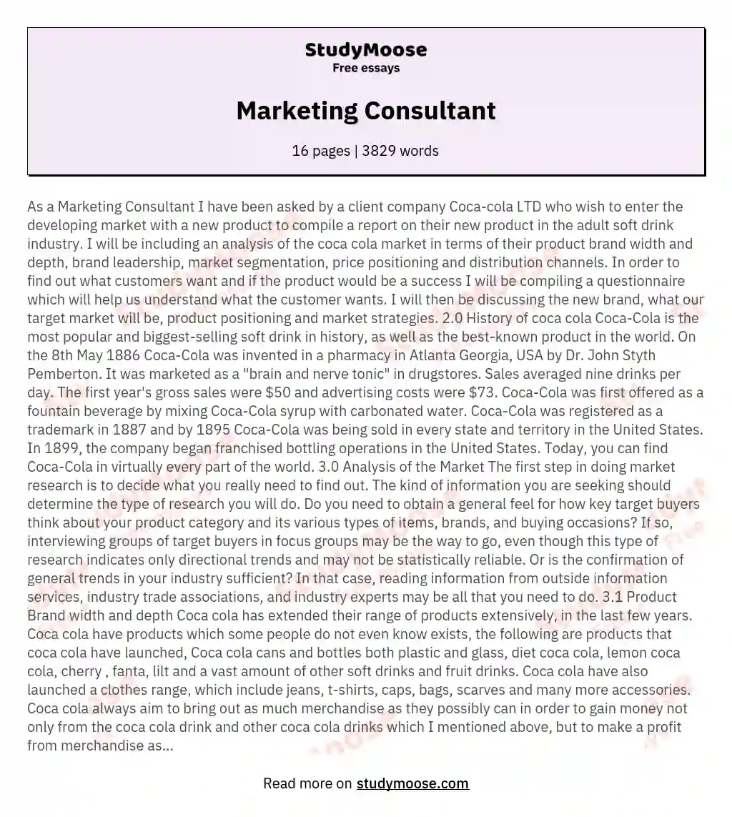 Marketing Consultant essay