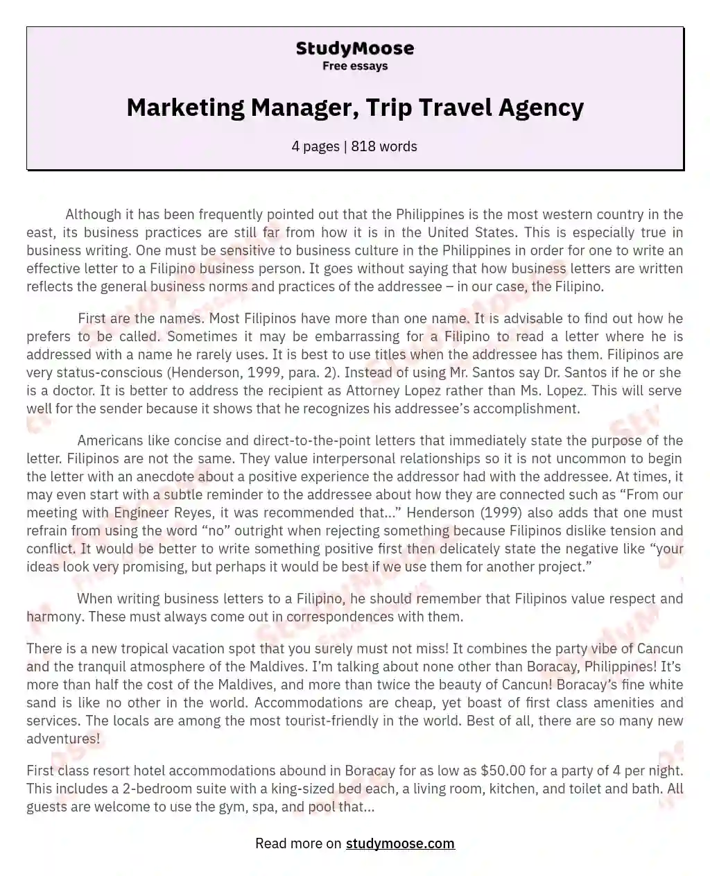 Marketing Manager, Trip Travel Agency essay